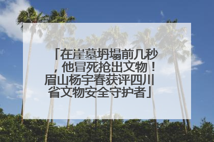在崖墓坍塌前几秒，他冒死抢出文物！眉山杨宇春获评四川省文物安全守护者