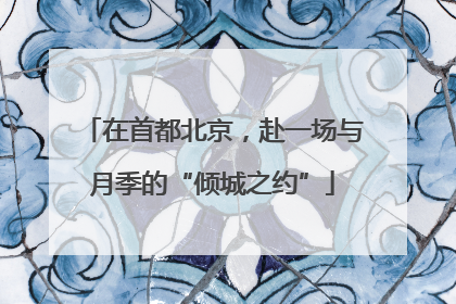 在首都北京，赴一场与月季的“倾城之约”