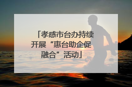 孝感市台办持续开展“惠台助企促融合”活动
