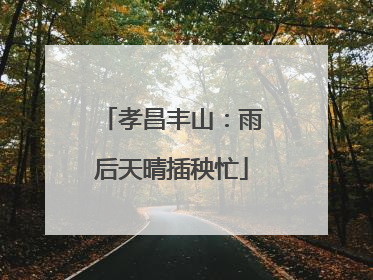 孝昌丰山：雨后天晴插秧忙