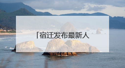 宿迁发布最新人事任免，洋河集团董事长调整