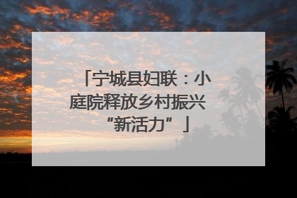 宁城县妇联：小庭院释放乡村振兴“新活力”