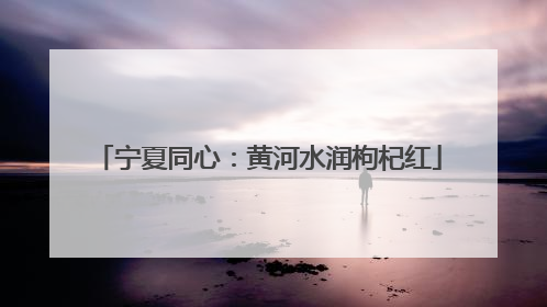 宁夏同心：黄河水润枸杞红
