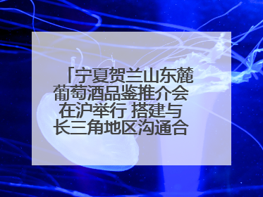 宁夏贺兰山东麓葡萄酒品鉴推介会在沪举行 搭建与长三角地区沟通合作的桥梁