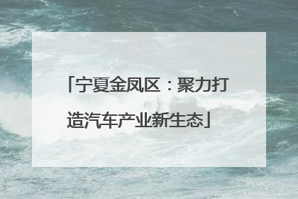 宁夏金凤区：聚力打造汽车产业新生态
