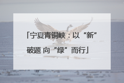 宁夏青铜峡：以“新”破题 向“绿”而行