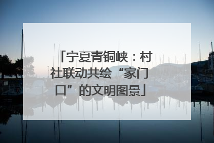 宁夏青铜峡：村社联动共绘“家门口”的文明图景