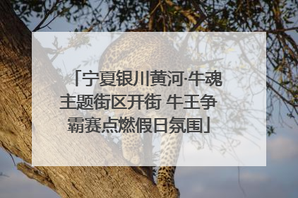 宁夏银川黄河·牛魂主题街区开街 牛王争霸赛点燃假日氛围