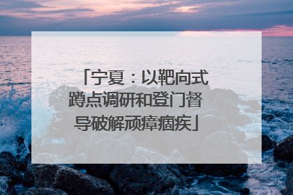 宁夏：以靶向式蹲点调研和登门督导破解顽瘴痼疾