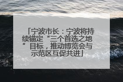 宁波市长：宁波将持续锚定“三个首选之地”目标，推动博览会与示范区互促共进