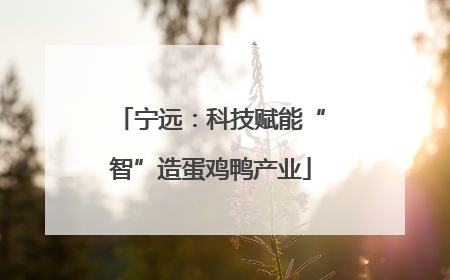 宁远：科技赋能“智”造蛋鸡鸭产业