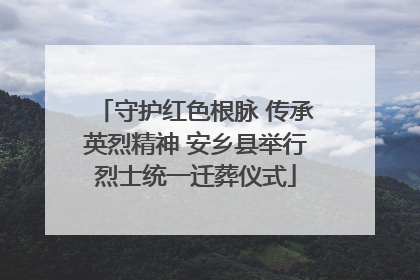 守护红色根脉 传承英烈精神 安乡县举行烈士统一迁葬仪式