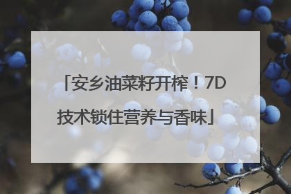 安乡油菜籽开榨！7D技术锁住营养与香味