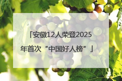 安徽12人荣登2025年首次“中国好人榜”