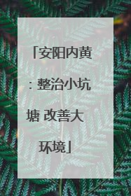 安阳内黄：整治小坑塘 改善大环境