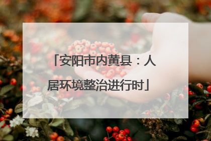 安阳市内黄县：人居环境整治进行时