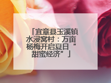 宜章县玉溪镇水浸窝村：万亩杨梅开启夏日“甜蜜经济”