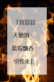 宜章县天塘镇：蓝莓飘香引客来