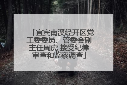宜宾南溪经开区党工委委员、管委会副主任周虎 接受纪律审查和监察调查