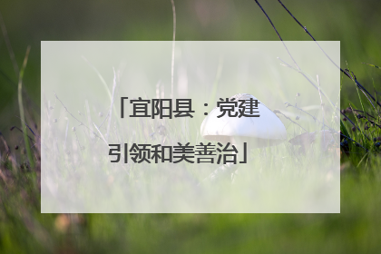 宜阳县：党建引领和美善治