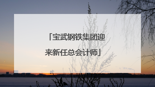 宝武钢铁集团迎来新任总会计师