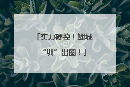 实力硬控！鲤城“圳”出圈！