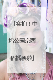 实拍！中坞公园京西稻插秧啦