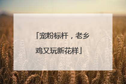 宠粉标杆，老乡鸡又玩新花样