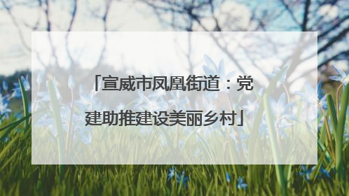 宣威市凤凰街道：党建助推建设美丽乡村