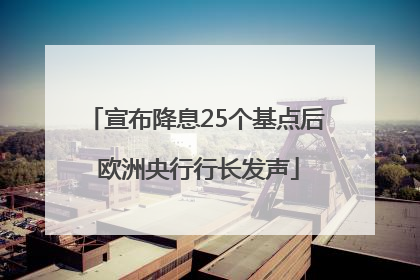 宣布降息25个基点后 欧洲央行行长发声