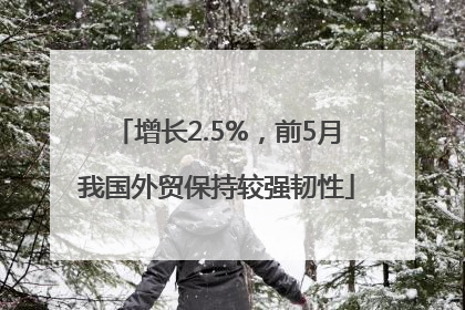 增长2.5%，前5月我国外贸保持较强韧性