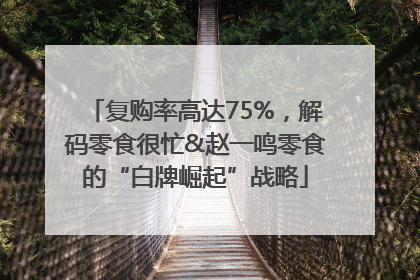 复购率高达75%，解码零食很忙&赵一鸣零食的“白牌崛起”战略