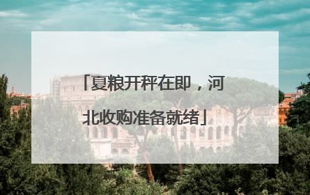 夏粮开秤在即，河北收购准备就绪