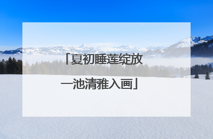 夏初睡莲绽放 一池清雅入画