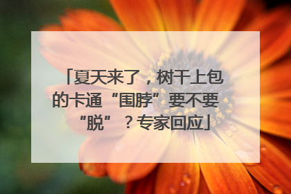 夏天来了，树干上包的卡通“围脖”要不要“脱”？专家回应