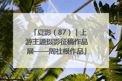 夏影（87）｜上游主题摄影征稿作品展——周社根作品