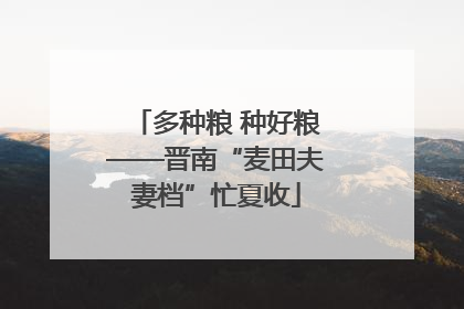 多种粮 种好粮——晋南“麦田夫妻档”忙夏收