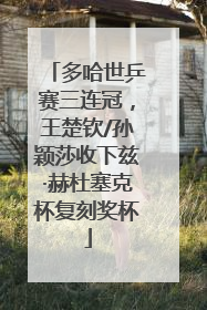 多哈世乒赛三连冠，王楚钦/孙颖莎收下兹·赫杜塞克杯复刻奖杯