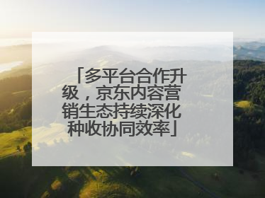 多平台合作升级，京东内容营销生态持续深化种收协同效率