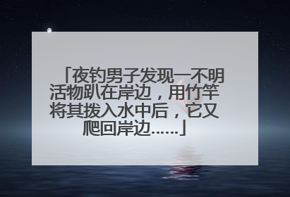 夜钓男子发现一不明活物趴在岸边，用竹竿将其拨入水中后，它又爬回岸边……
