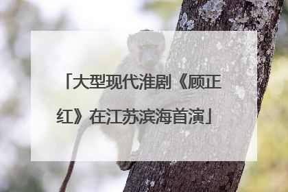 大型现代淮剧《顾正红》在江苏滨海首演