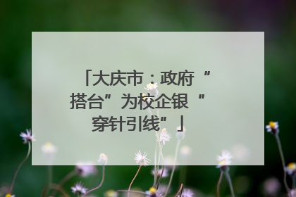 大庆市：政府“搭台”为校企银“穿针引线”