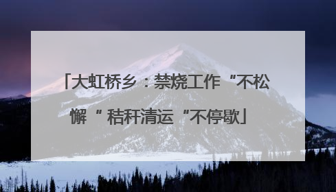 大虹桥乡：禁烧工作“不松懈“ 秸秆清运“不停歇