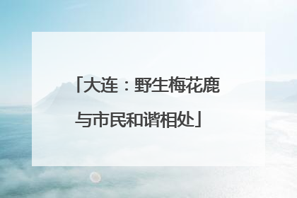 大连：野生梅花鹿与市民和谐相处