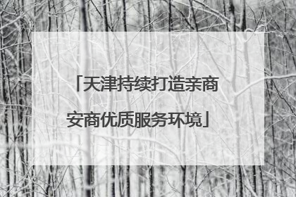 天津持续打造亲商安商优质服务环境