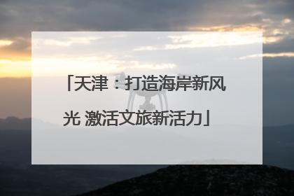 天津：打造海岸新风光 激活文旅新活力
