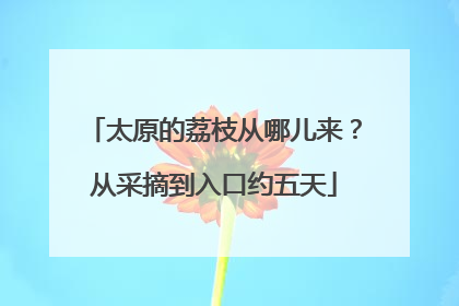太原的荔枝从哪儿来？从采摘到入口约五天