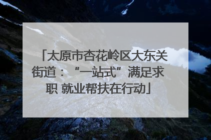 太原市杏花岭区大东关街道：“一站式”满足求职 就业帮扶在行动