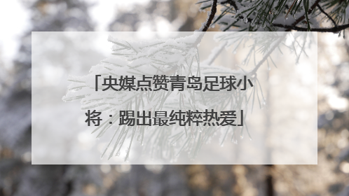 央媒点赞青岛足球小将：踢出最纯粹热爱