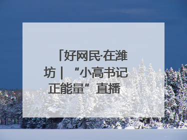 好网民·在潍坊｜“小高书记正能量”直播 带动群众致富